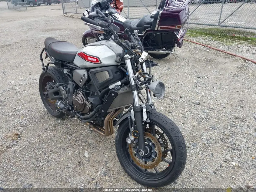 Yamaha Xsr700 2019