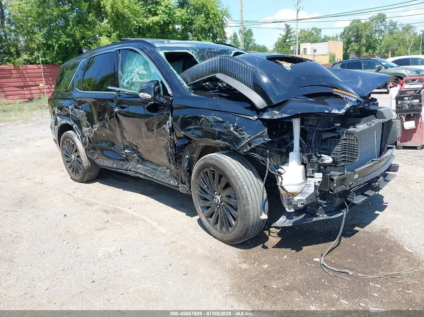 Hyundai Palisade Calligraphy Night Edition 2024