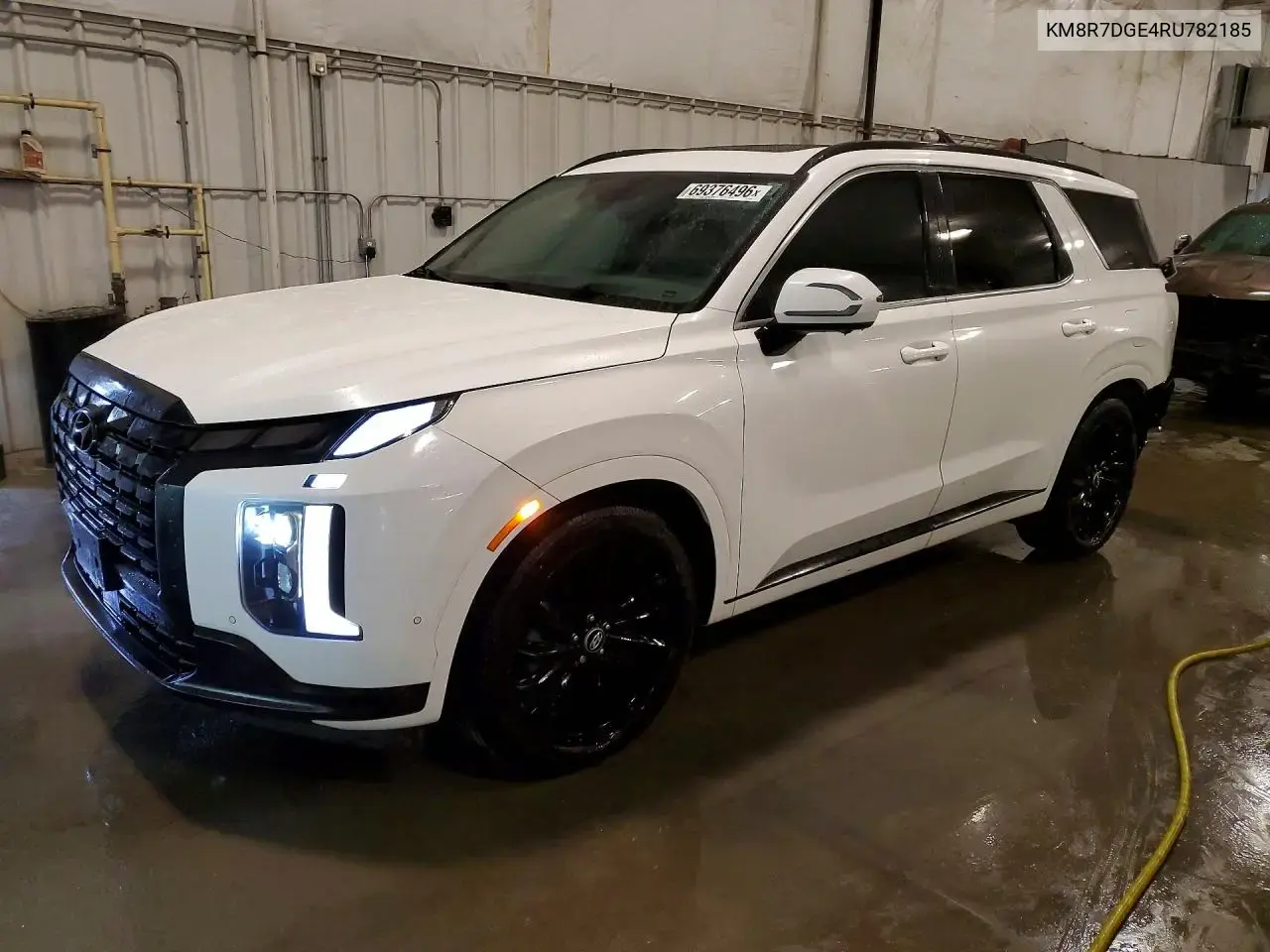 Hyundai Palisade Calligraphy Night Edition 2024