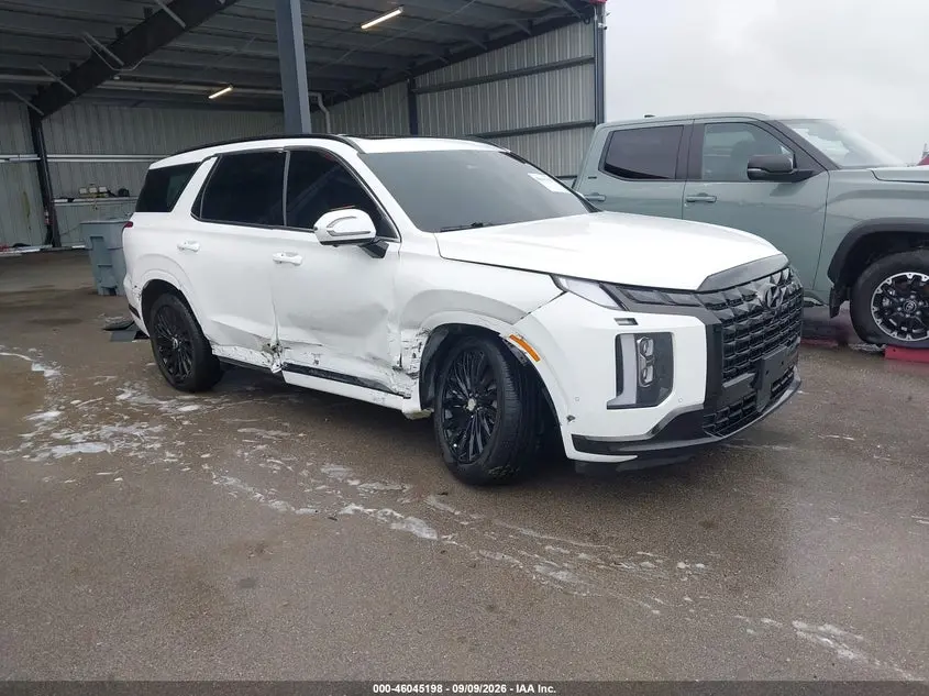 Hyundai Palisade Calligraphy Night Edition 2024