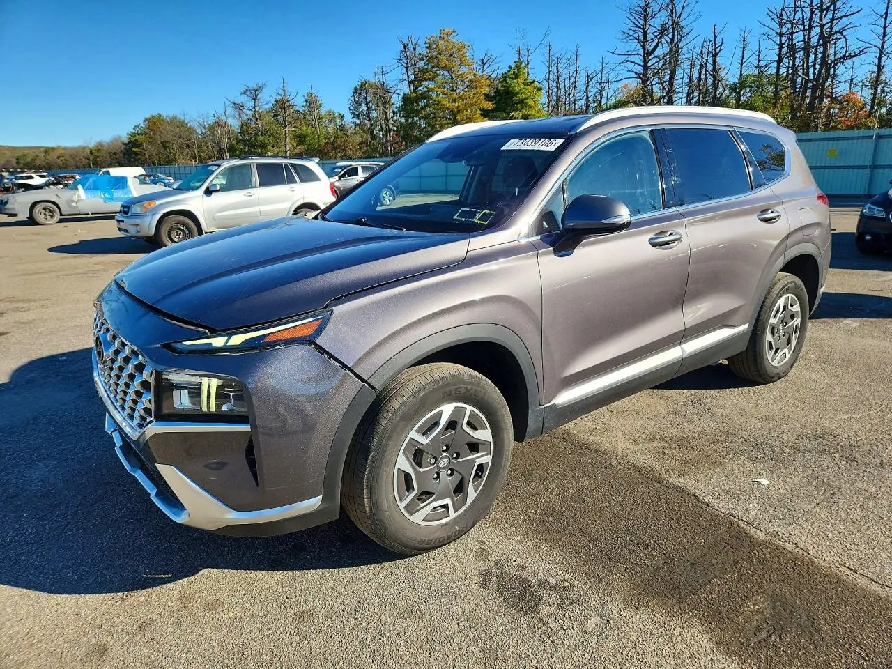 Hyundai Santa Fe Blue 2022