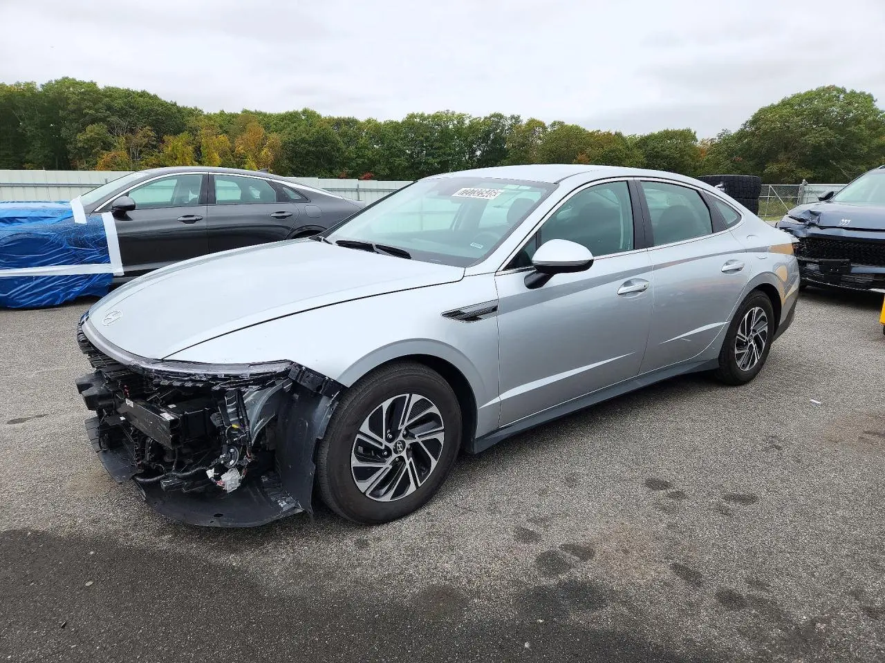Hyundai Sonata Hybrid Blue 2026