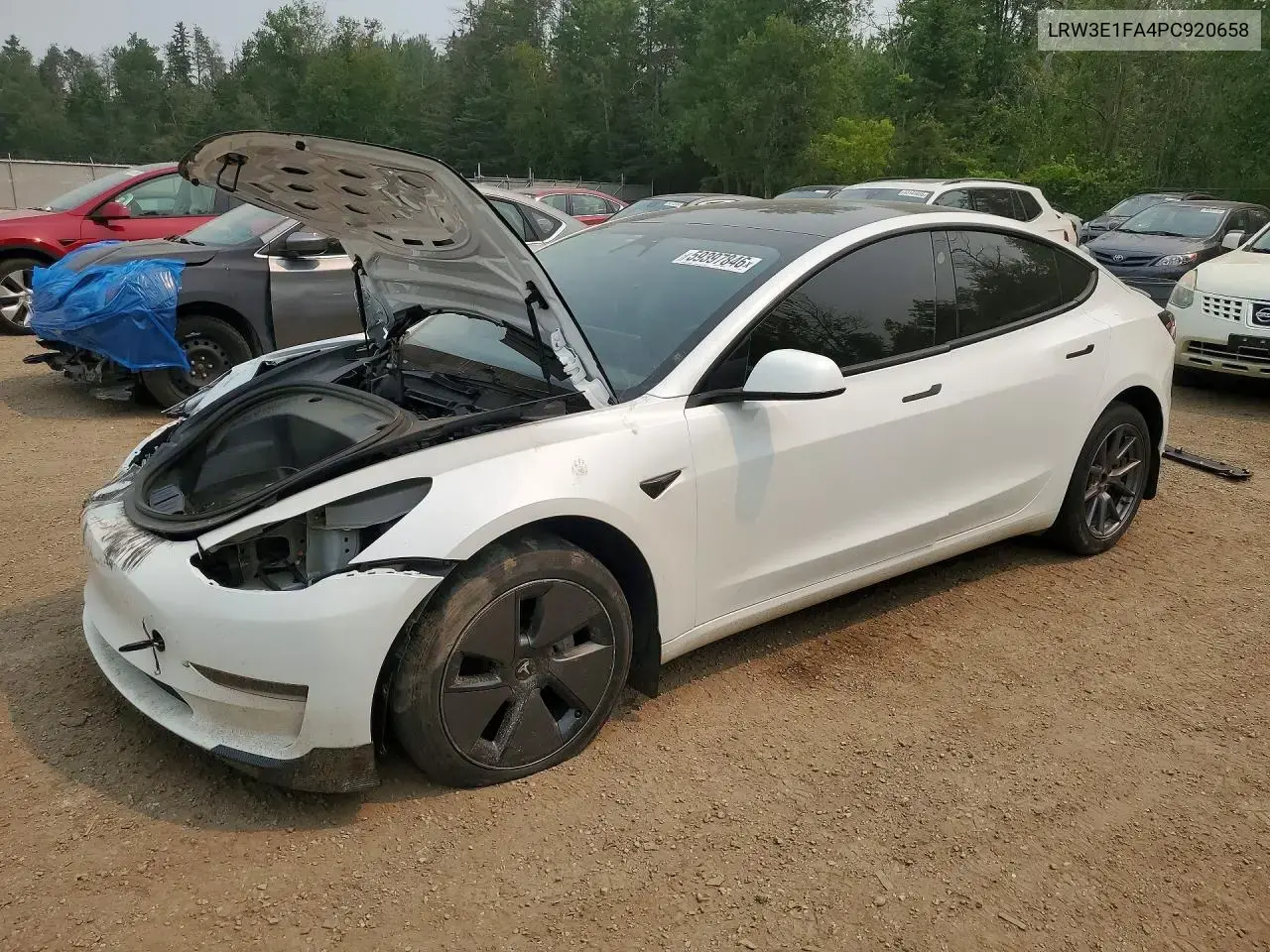 Tesla Model 3 2023