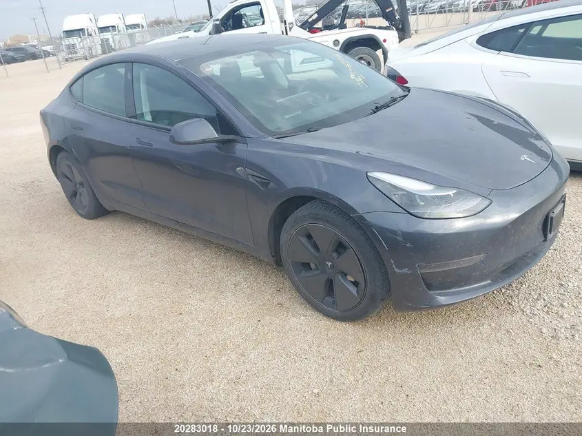 Tesla Model 3 Standard Range Plus 50 2023