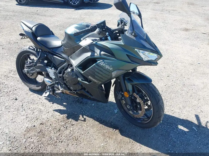 Kawasaki Ex650 P 2025