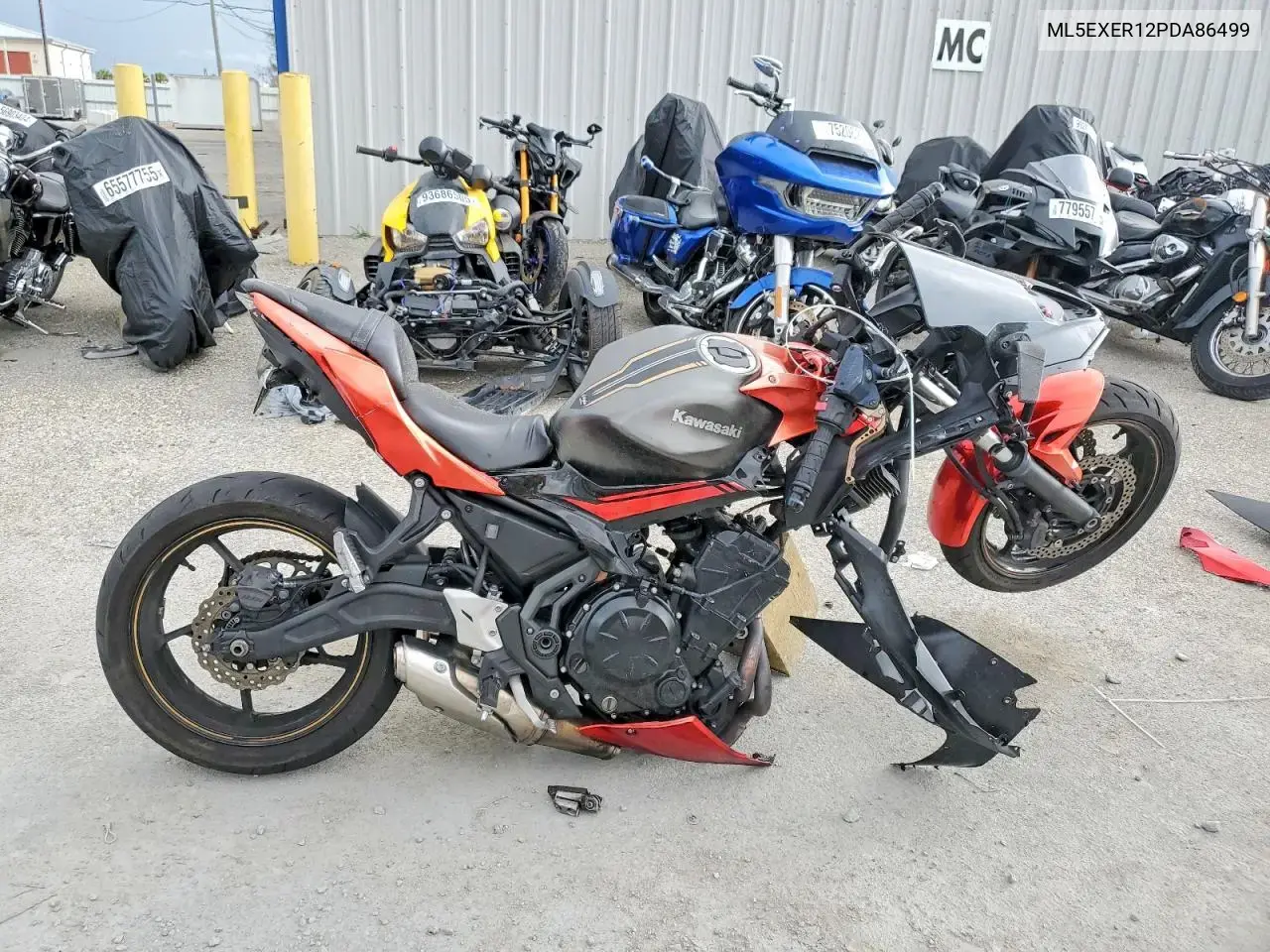 Kawasaki Ex650 R 2023
