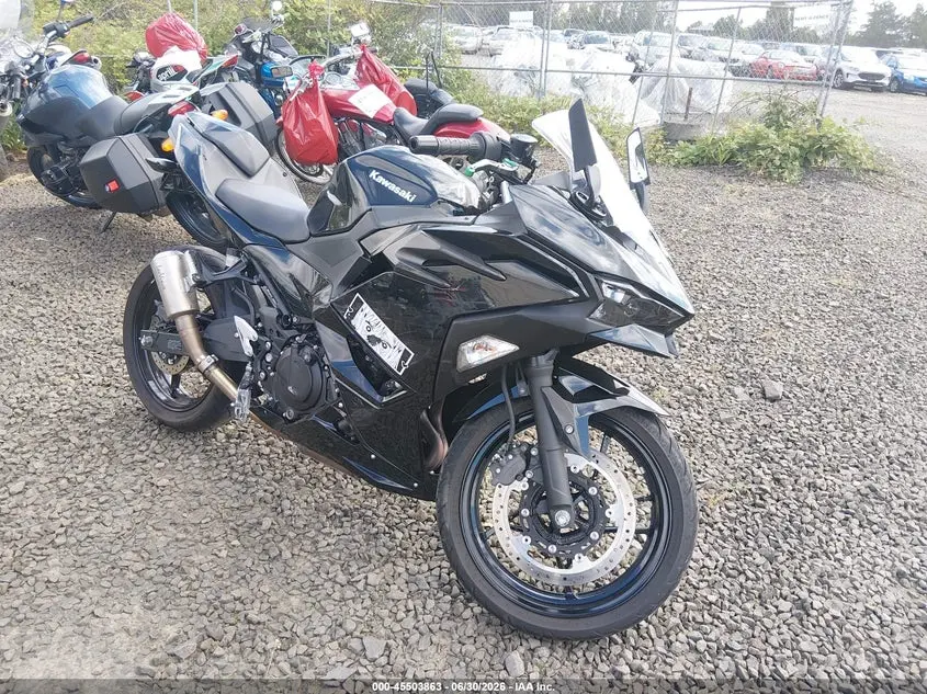 Kawasaki Ex500 H 2024