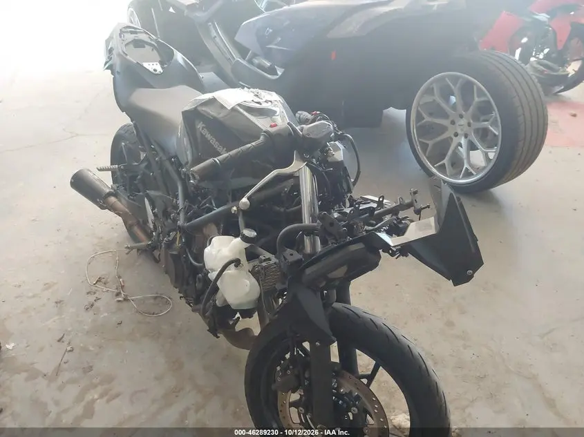 Kawasaki Ex500 A/B 2025