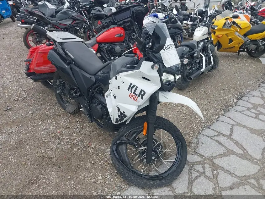 Kawasaki Kl650 K/M 2024