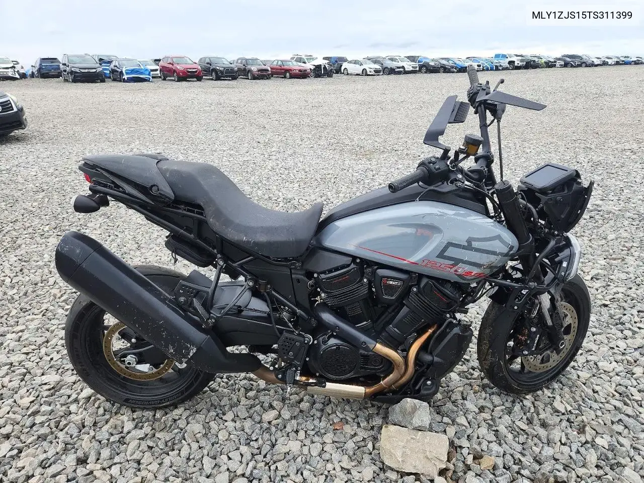 Harley-Davidson Ra1250 St 2026