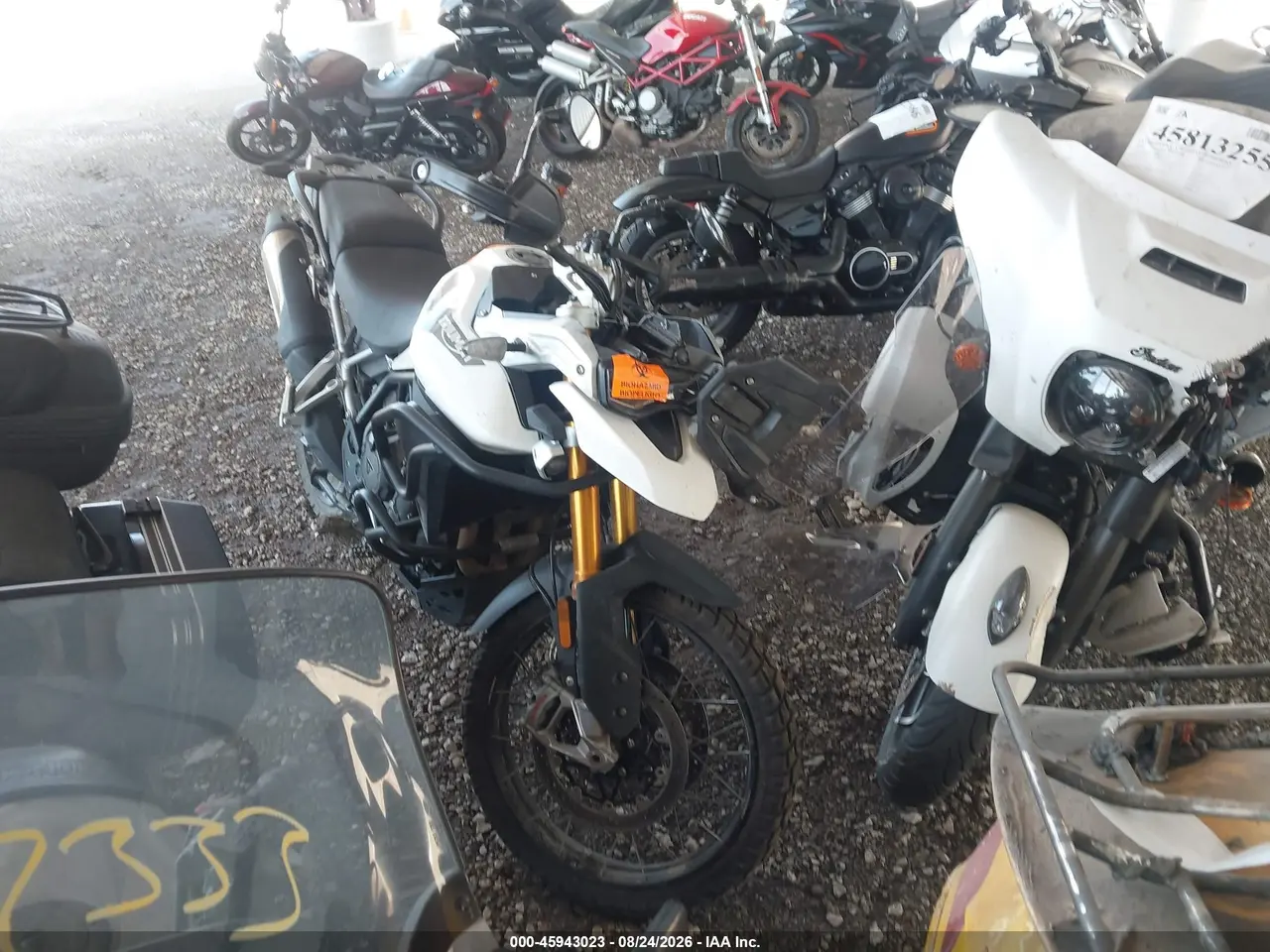 Triumph Motorcycle Tiger 900 Rally Pro/900 Bond Edition 2023
