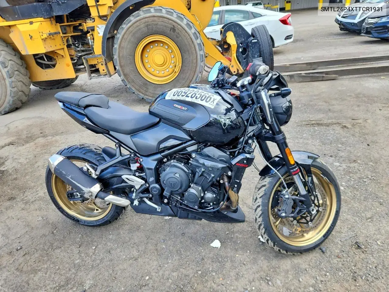 Triumph Motorcycle Trident 800 2026
