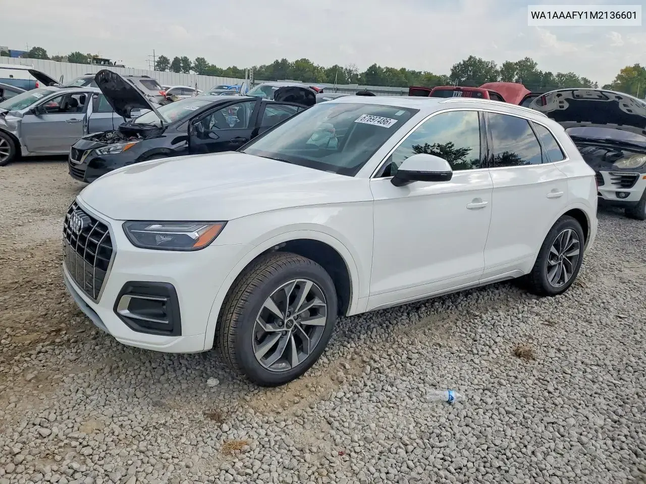 Audi Q5 Premium 2021