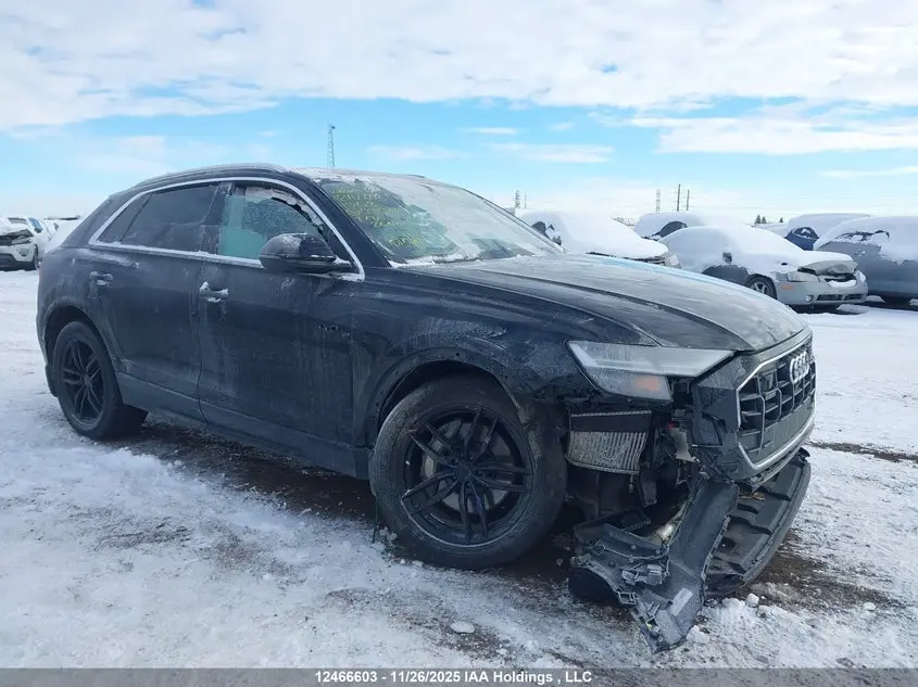 Audi Q8 55 Progressiv 2019