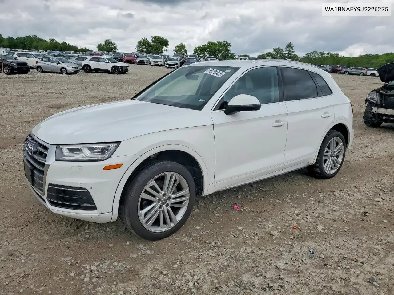 Audi Q5 Premium Plus 2018
