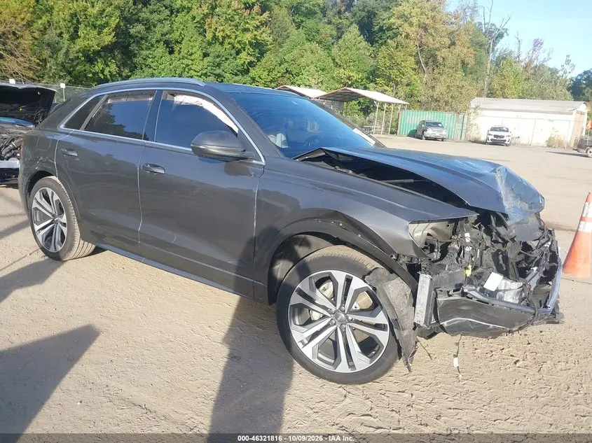 Audi Q8 55 Premium 2019
