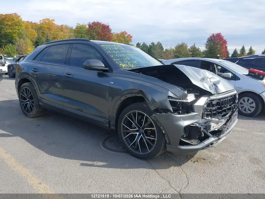 Audi Q8 55 Technik 2019