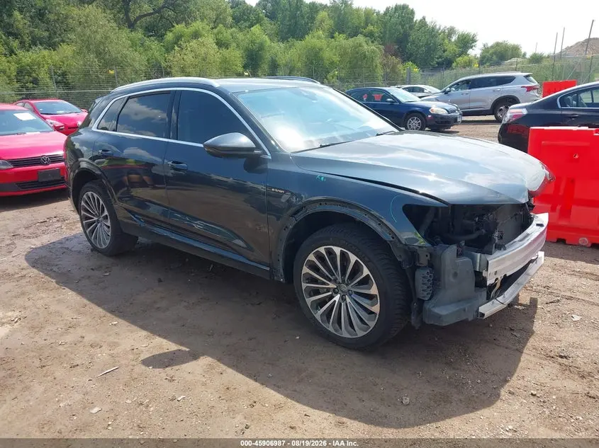 Audi E-Tron Premium Plus 2019