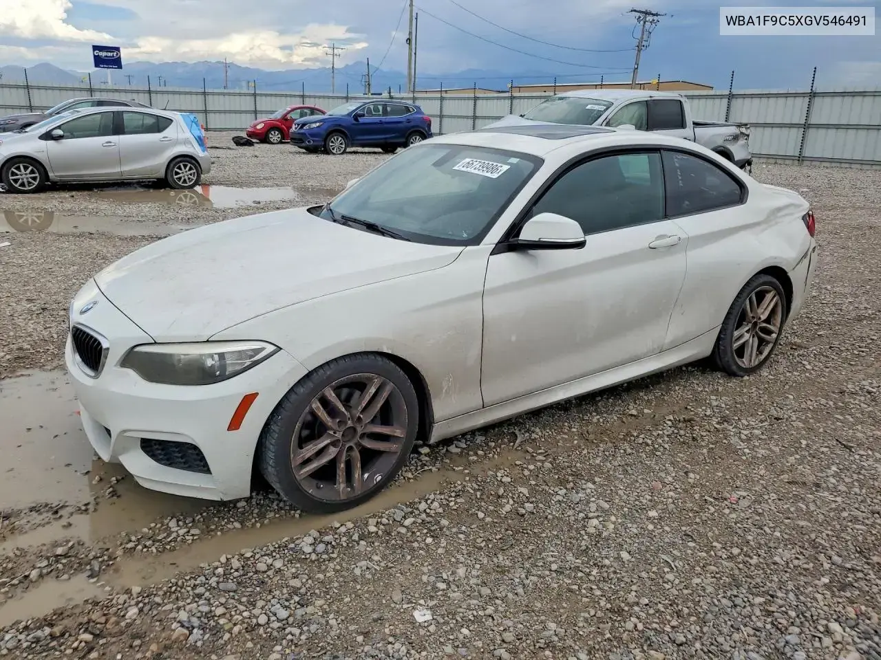 BMW 228 I Sulev 2016
