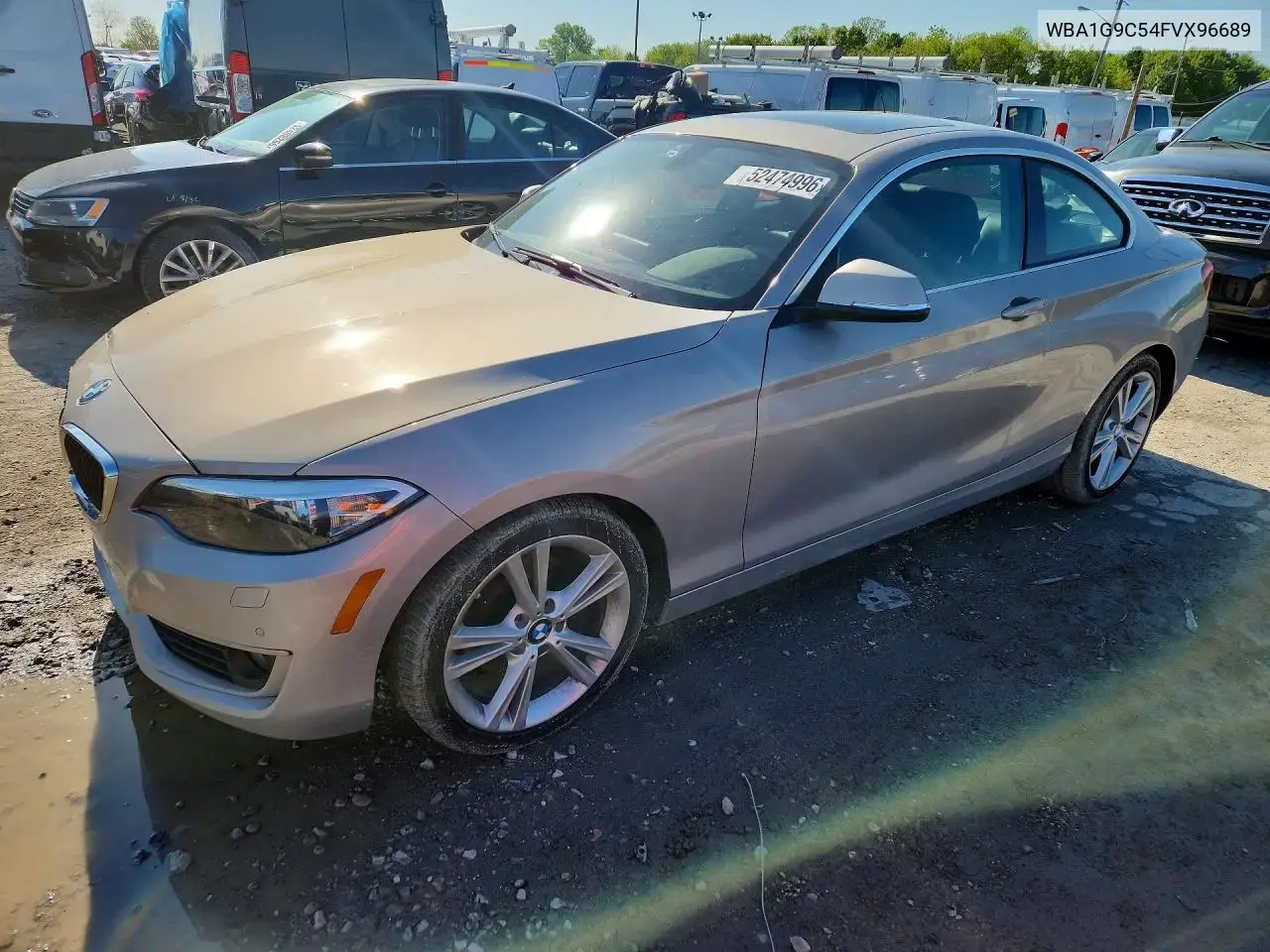 BMW 228 Xi Sulev 2015