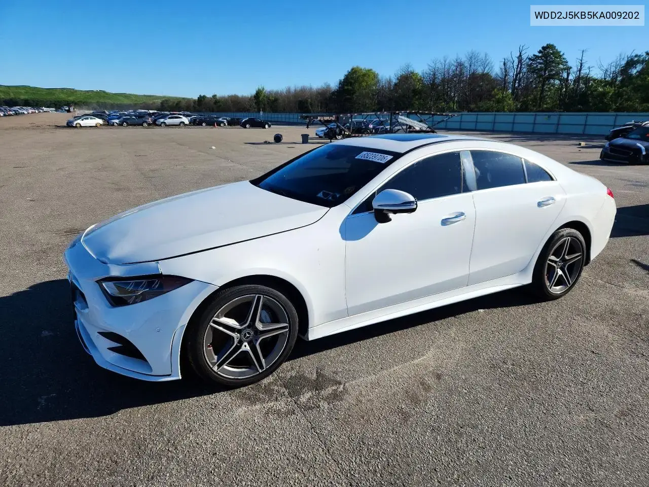 Mercedes-Benz Cls 450 4Matic 2019