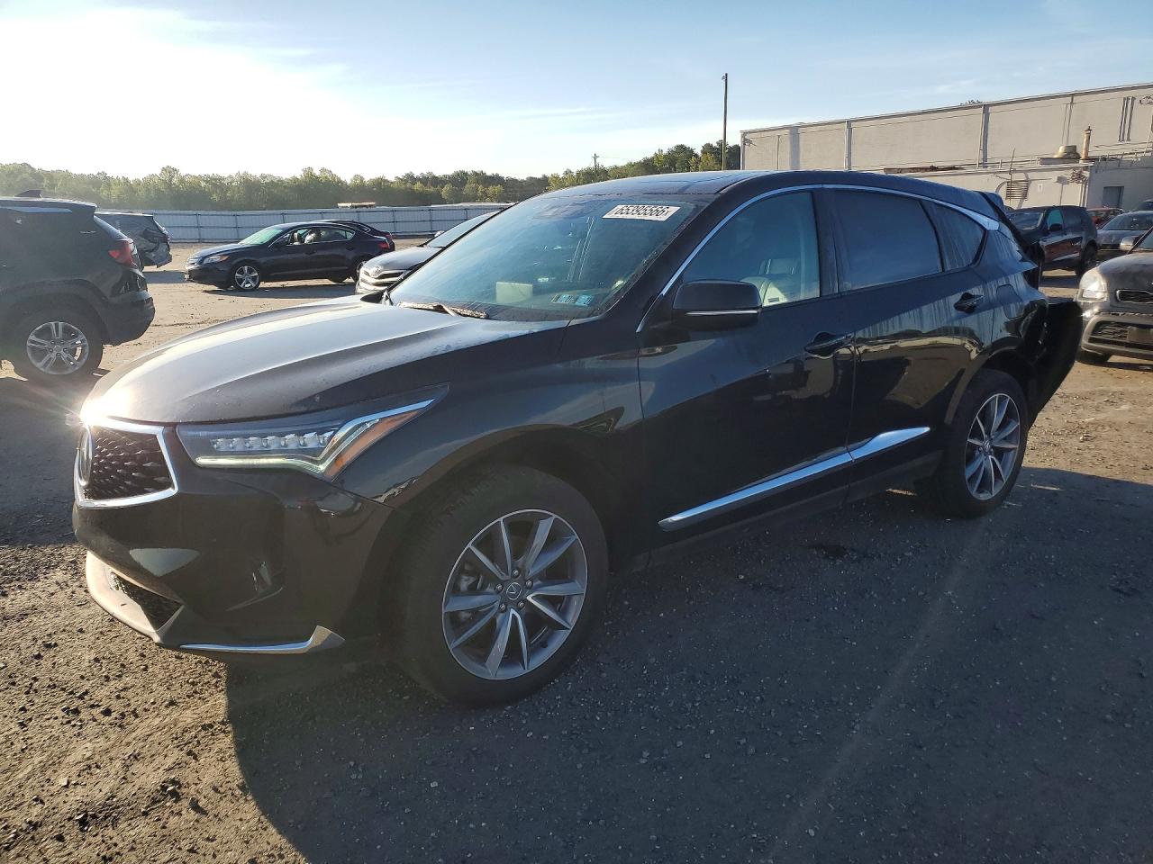 Acura Rdx Technology 2022