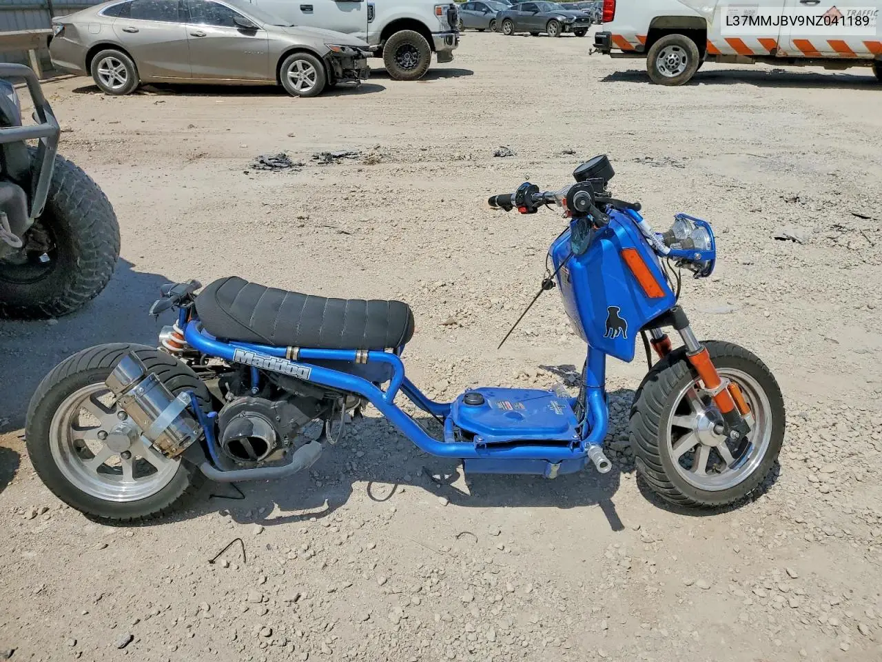 Other Ice Bear Maddog 150Cc 2022