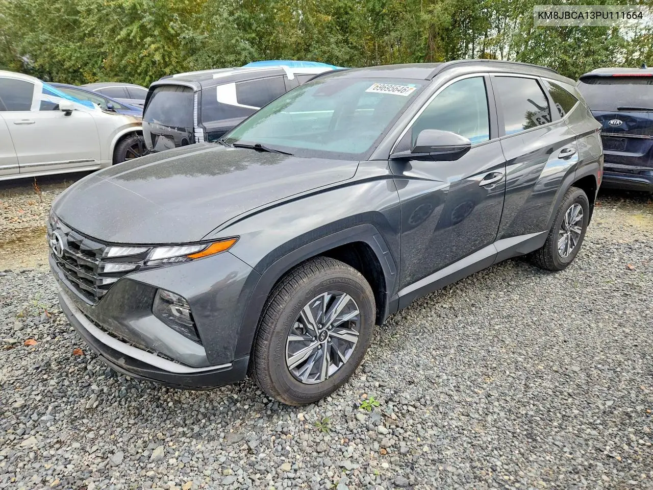 Hyundai Tucson Blue 2023