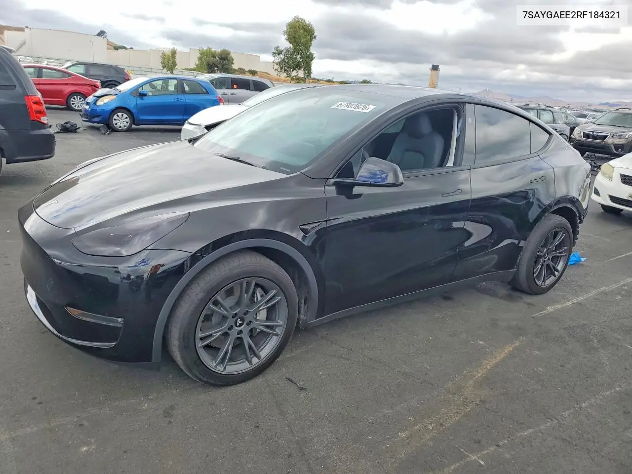 Tesla Model Y 2024