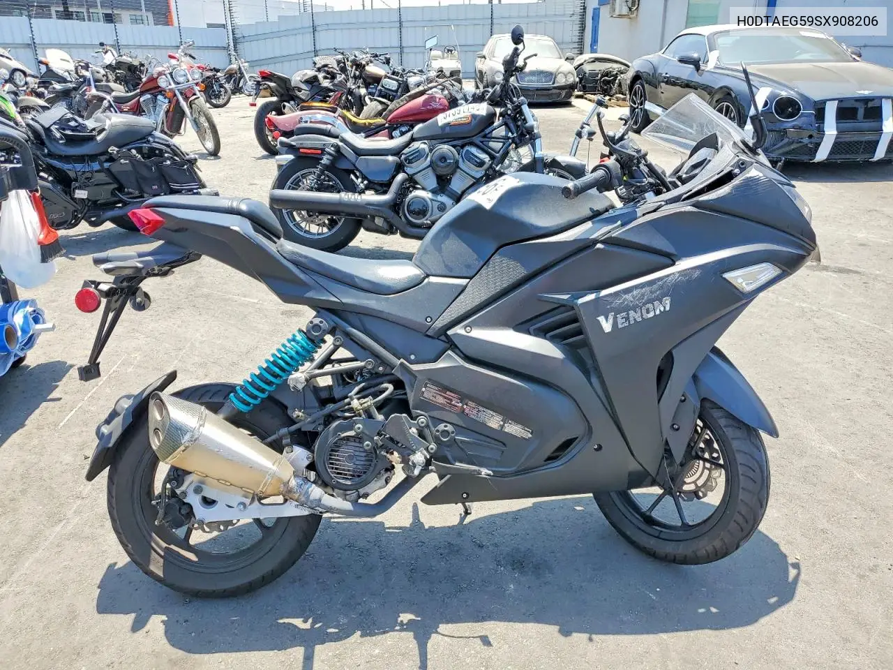 Feng Dragon 2025