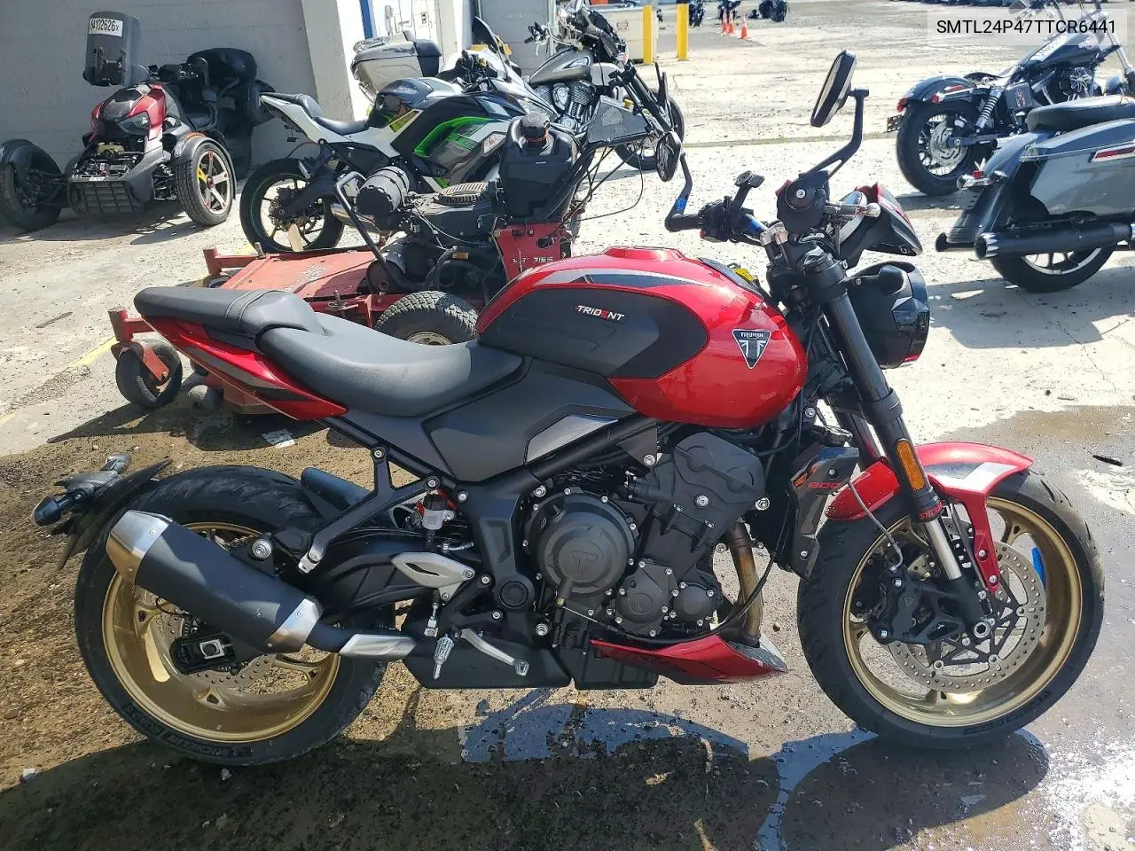 Triumph Motorcycle Trident 800 2026