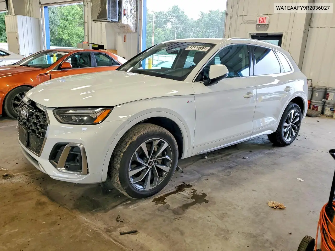 Audi Q5 Premium Plus 45 2024