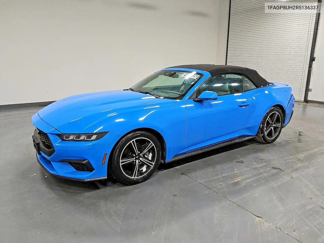 Ford Mustang 2024