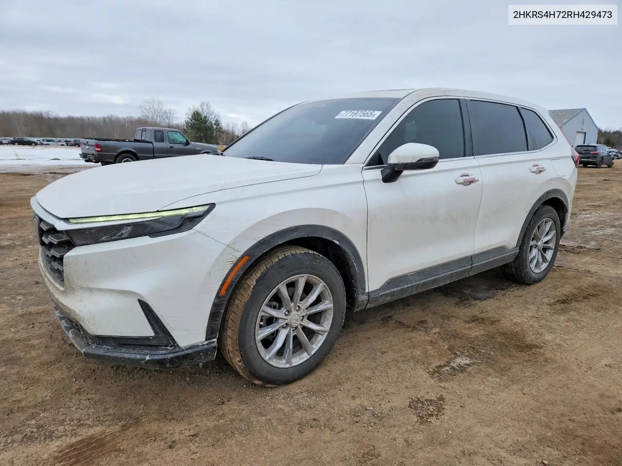 Honda Cr-V Exl 2024
