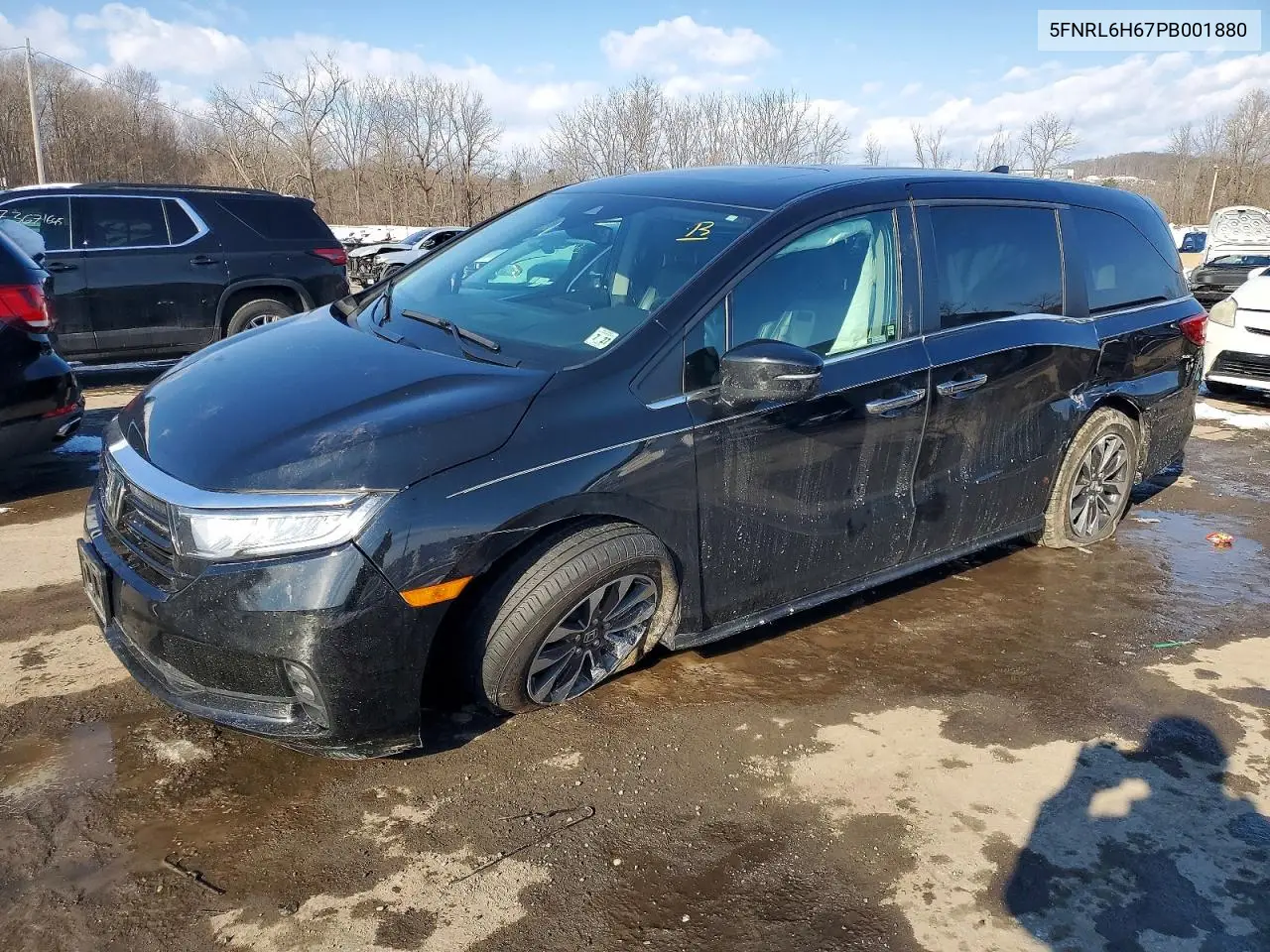 Honda Odyssey Exl 2023