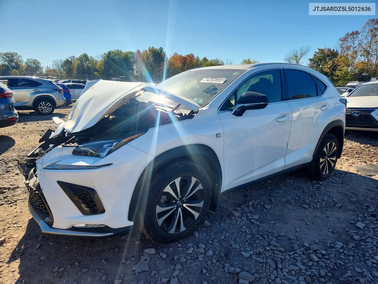Lexus Nx 300 F Sport 2020