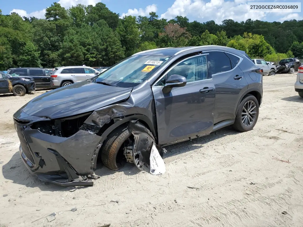 Lexus Nx 350 Premium 2024