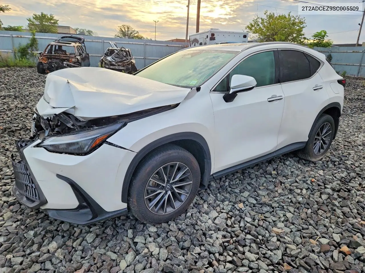 Lexus Nx 250 Base 2025