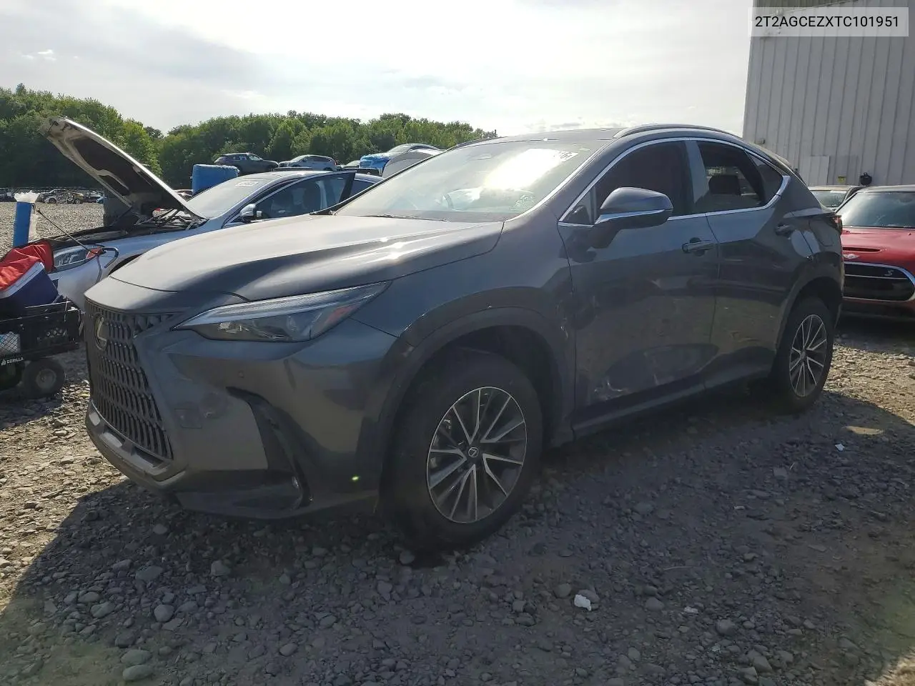Lexus Nx 350 Base 2026