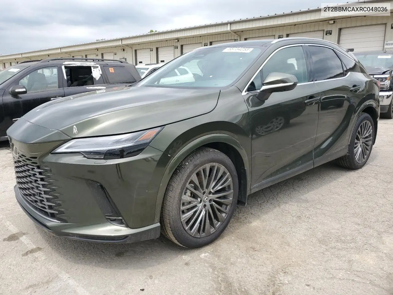 Lexus Rx 350H Base 2024