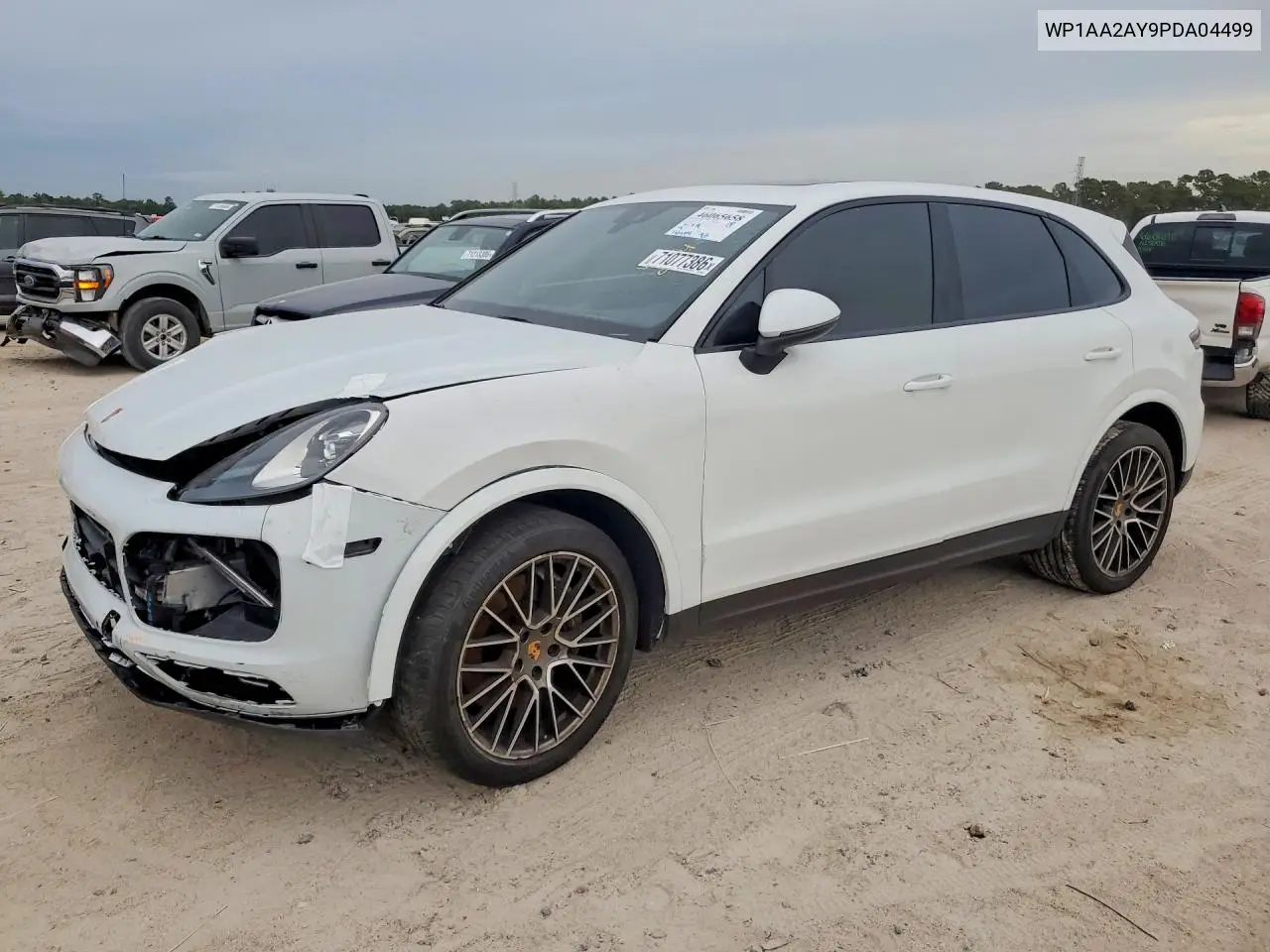 Porsche Cayenne Platinum Edition 2023