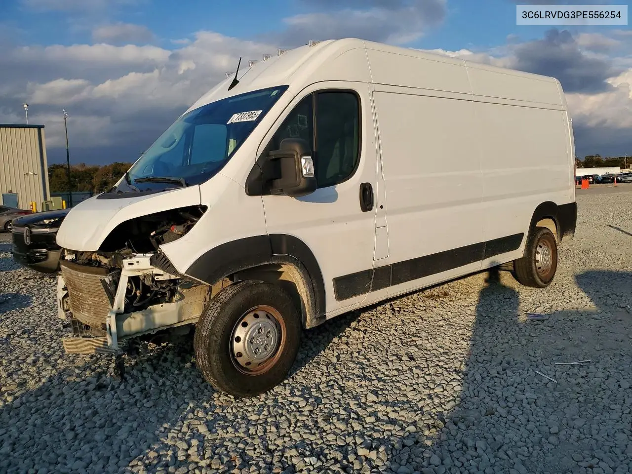 Ram Promaster 2500 Cargo 2023