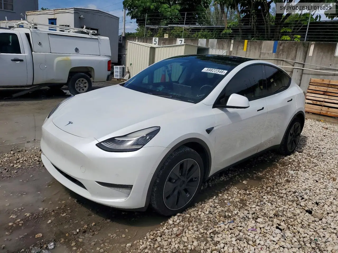 Tesla Model Y 2020