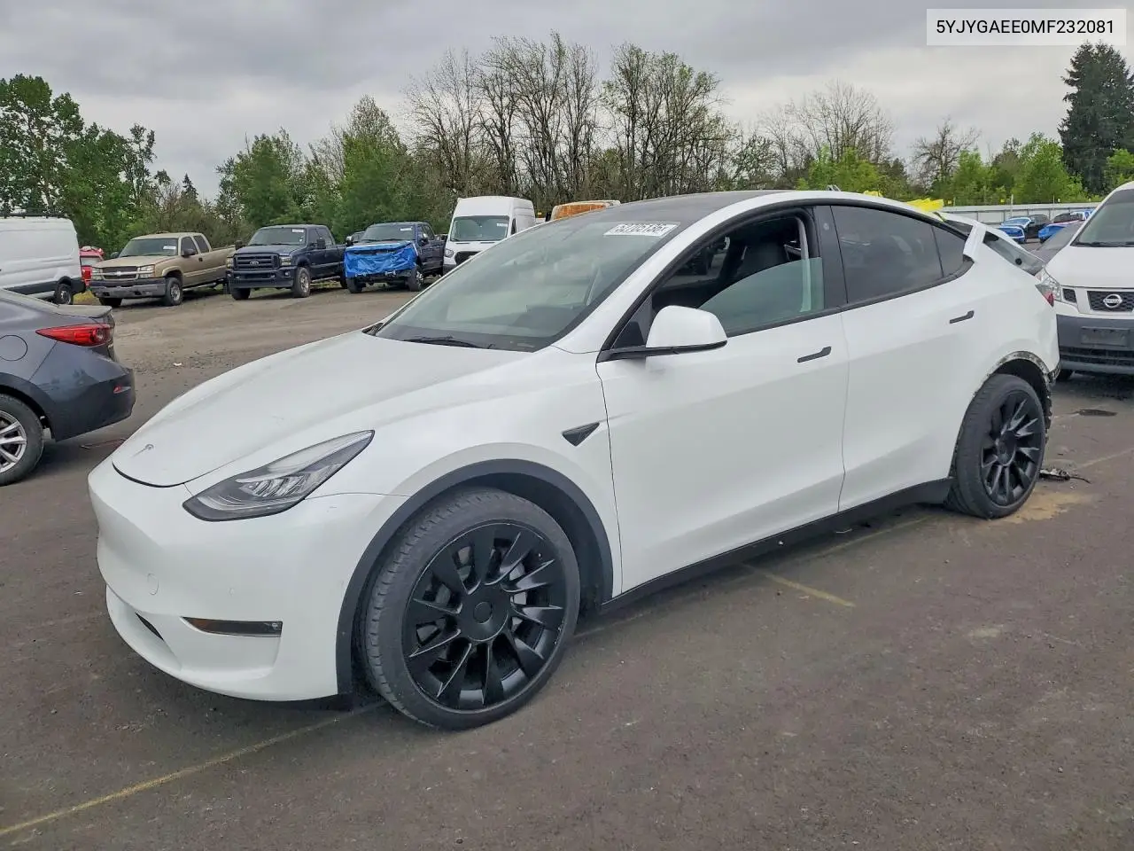 Tesla Model Y 2021