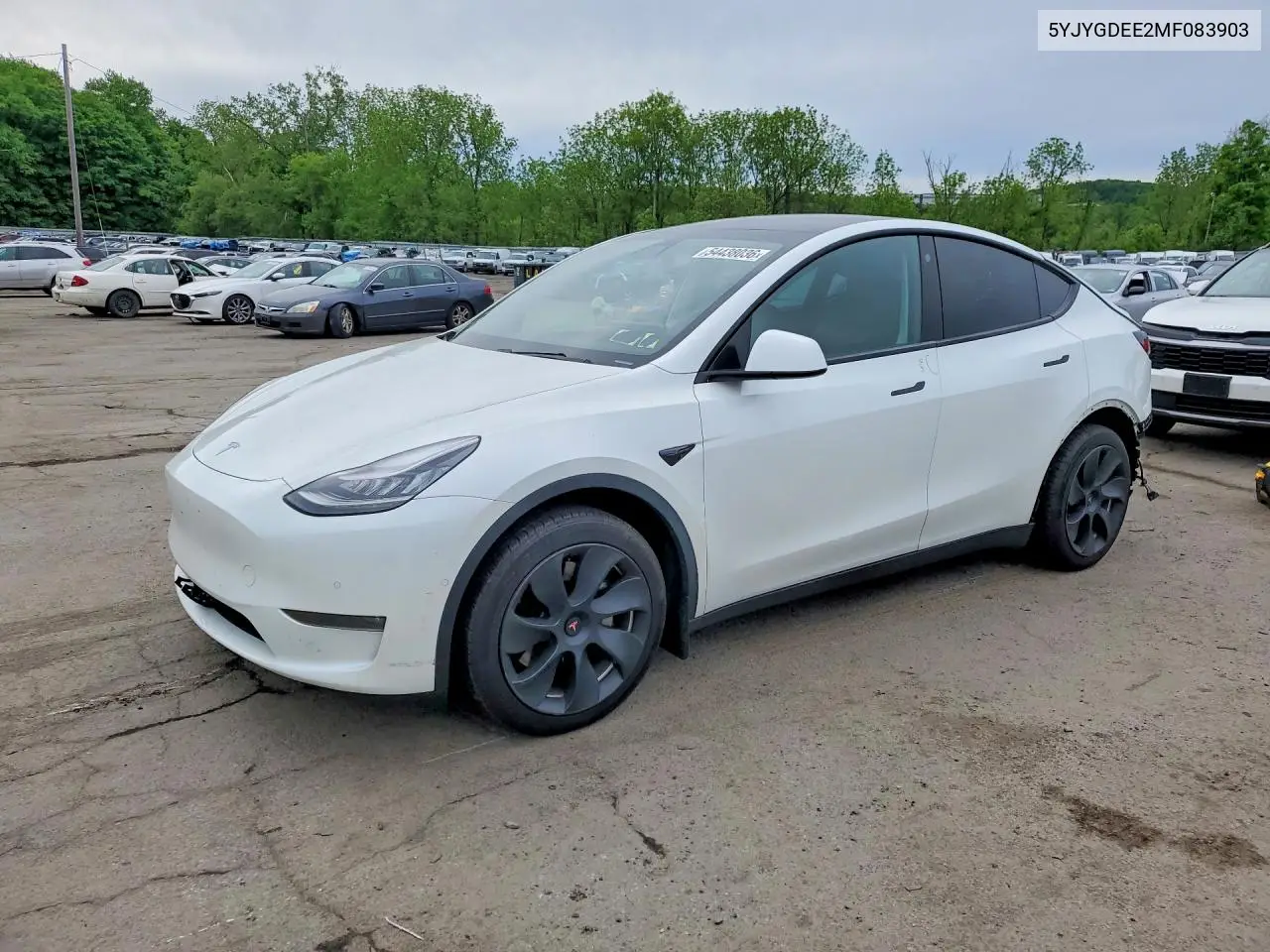 Tesla Model Y 2021