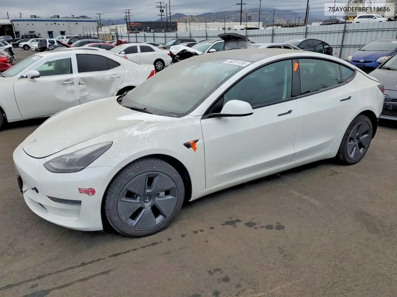 Tesla Model Y 2024