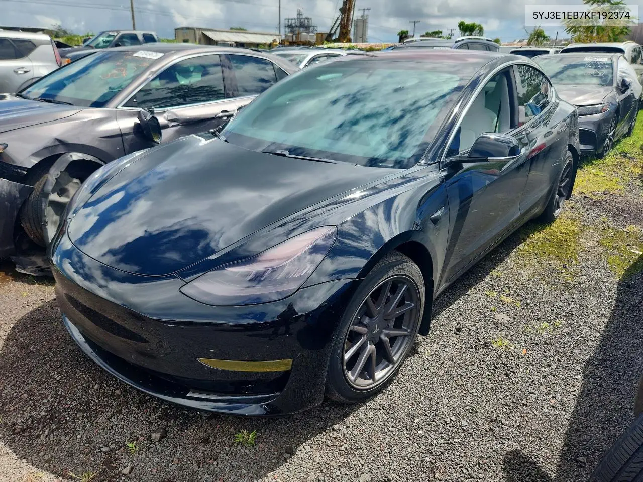 Tesla Model 3 2019