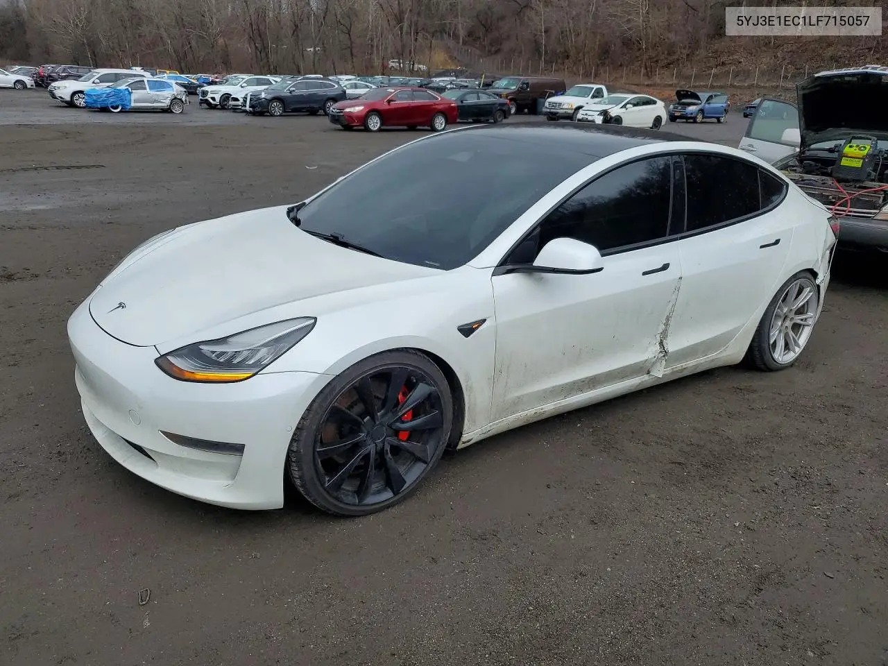 Tesla Model 3 2020