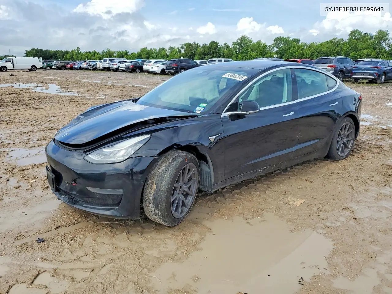 Tesla Model 3 2020