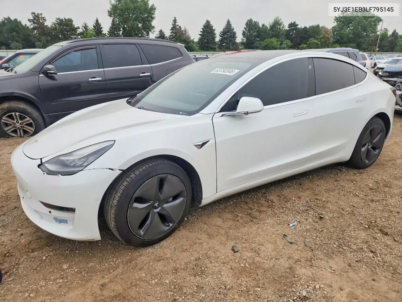 Tesla Model 3 2020